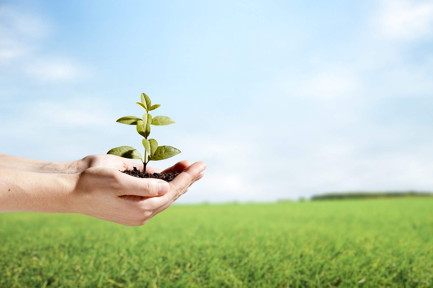 省節能協會袁亮秘書長、遂寧檢測公司戴云峰總經理一行蒞臨天晟源環保座談交流