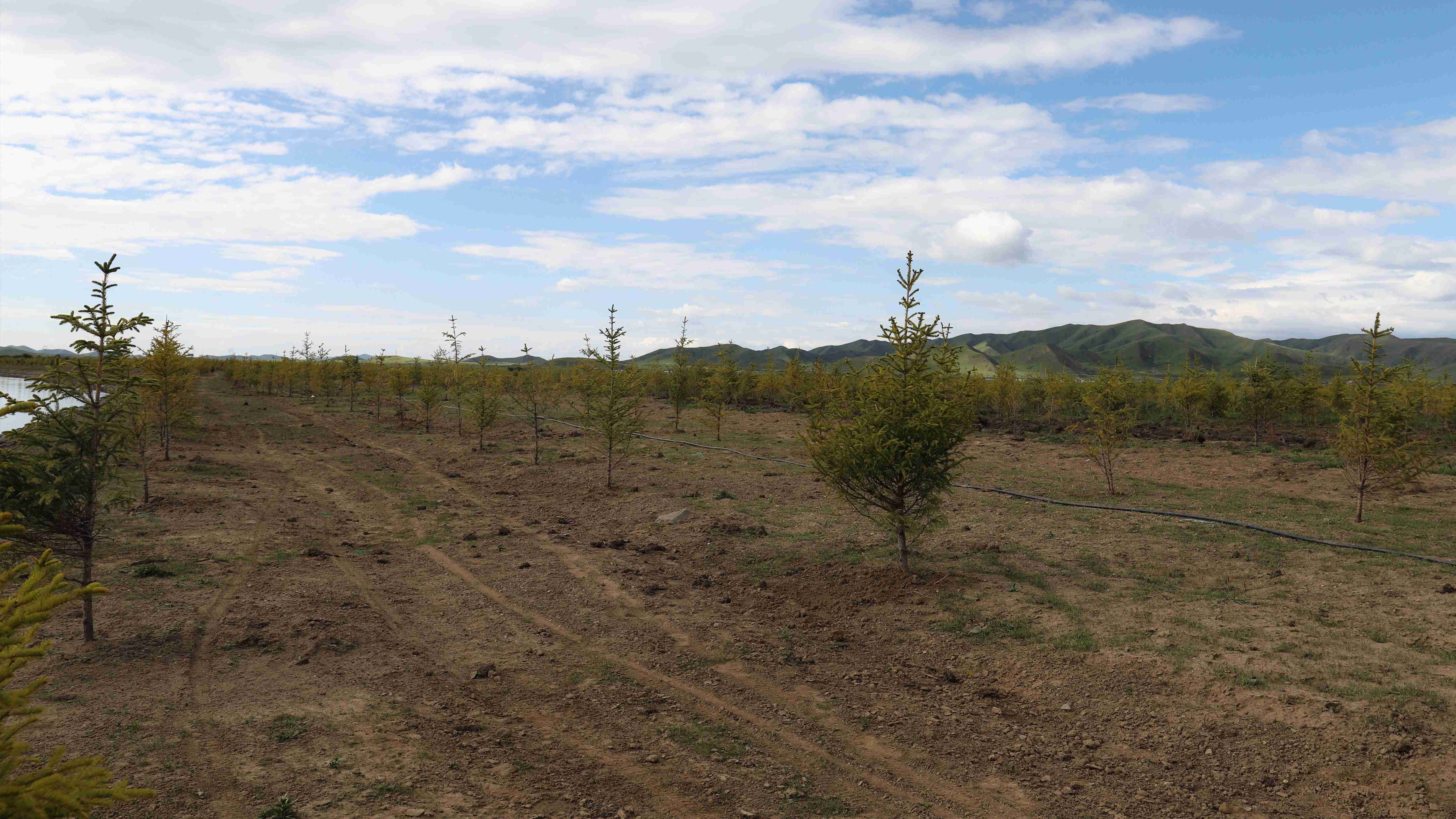 嚴守工程質量，筑牢生態屏障